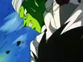 DBZ - 223 - (by dbzf.ten.lt) 20120302-14470893