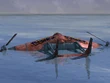 TinyBronco-ffvii-sea