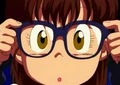 AraleS4