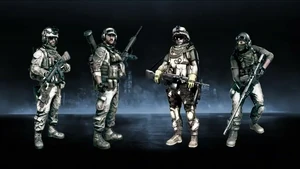 BF3OPENBPOSTER