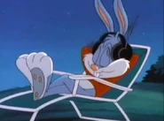 BusterLawnChair