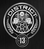 District 13 site icon