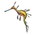 Item seadragon 01.png