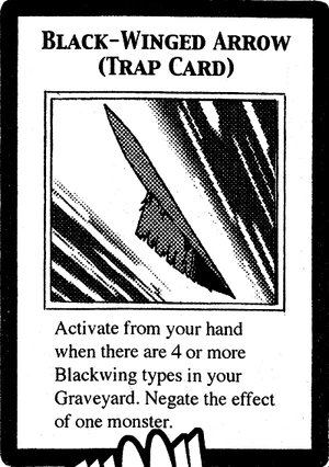 BlackWingedArrow-EN-Manga-5D