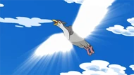 EP730 Tranquill usando Ataque ala
