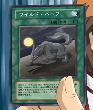 WildHalf-JP-Anime-GX