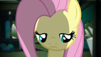 Sad Fluttershy S2E19