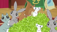 Animal stop S02E19