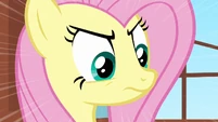 Fluttershy stare S2E19
