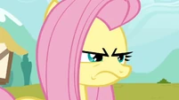 Frowning Fluttershy S2E19