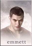 New moon emmett