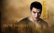 Twilight wallpaper