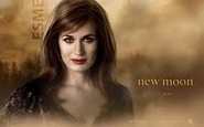 Twilight wallpaper 2