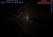 Terraria Life Crystals Really Close