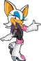 Sonicchannel rouge nocircle