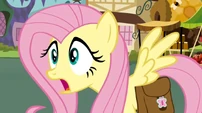 Fluttershy shocked2 S02E19