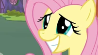 Fluttershy smile2 S02E19