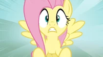Fluttershy shocked3 S02E19