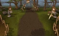 To the Tree.png