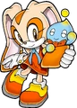 Sonicchannel cream nocircle