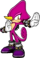 Sonicchannel espio nocircle