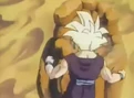 Gohan o