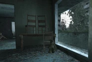 Teddy Bear CoD4