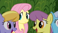 Fluttershy scared S02E19