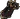Black kiteshield (g)
