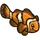 Clown Fish