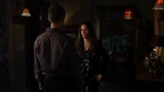 PLL223 (20)