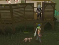 ElfinlockscamoTGBR.png
