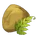 Fern Seed