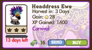 Headdress Ewe Market Info