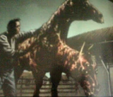 Mutant Horse