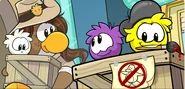 Screenshot 296