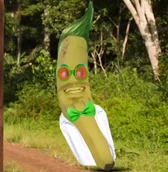 Dr