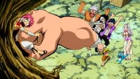 Makarov defeats Natsu