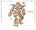 Birthsign atronach