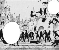 Nirvits fighting