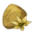 Nettle Seed
