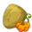 Pumpkin Seed