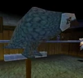 Eagle Owl.jpg