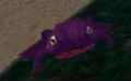 Giant Purple Toad.jpg