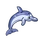 Bottlenose Dolphin