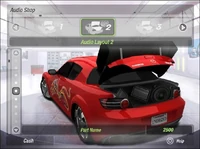 Nfu2p2006