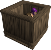 A player inside the crate