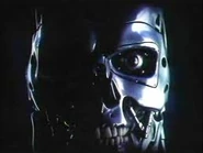 Traler od arnold