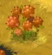 Dendron