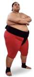 Yokozuna Full